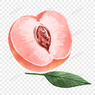 WWW,663av·COM网站APPAPP应用