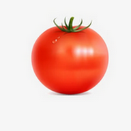 星辰视频下载APP应用